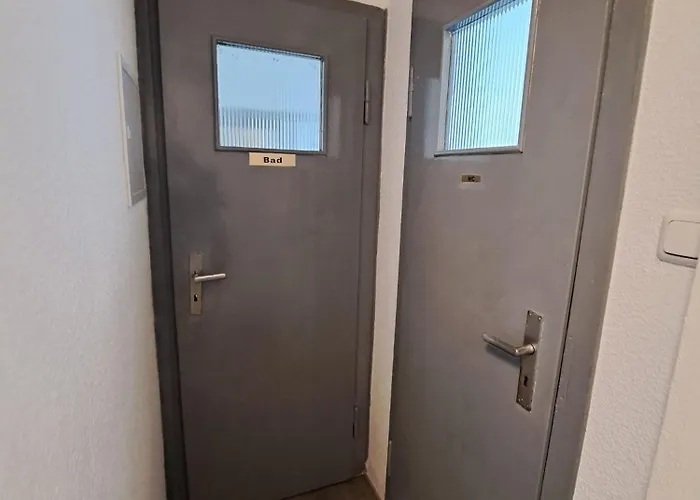 Sonnenblume 科赫姆