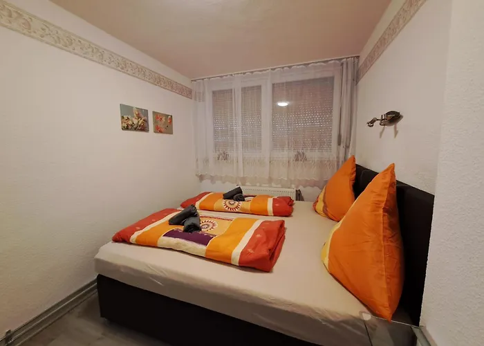 Sonnenblume 科赫姆