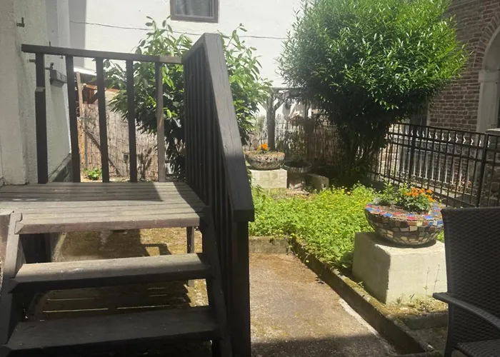 Sonnenblume 科赫姆