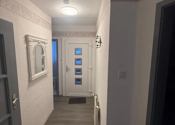 Sonnenblume 科赫姆