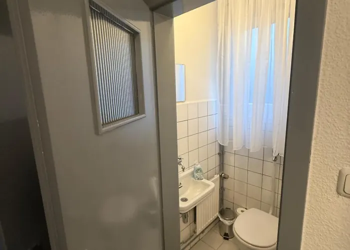 Sonnenblume 科赫姆